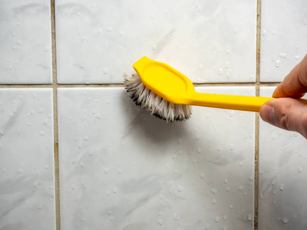 Best Mold Remediation  in St Francis, KS