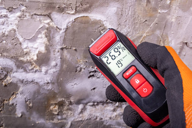 Best Local Mold Removal Service  in St Francis, KS