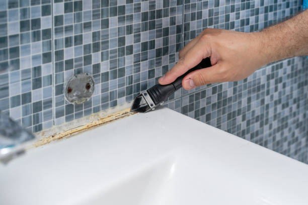 Best Office Mold Removal Services  in St Francis, KS