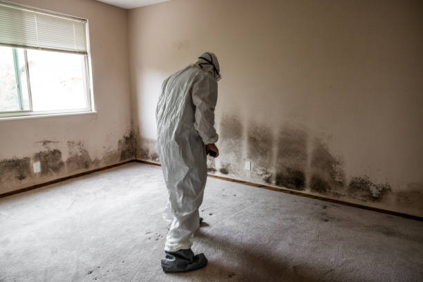 Best Crawl Space Mold Removal  in St Francis, KS